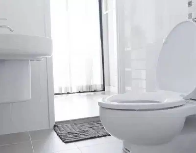 Carbonado-Toilet-Backup